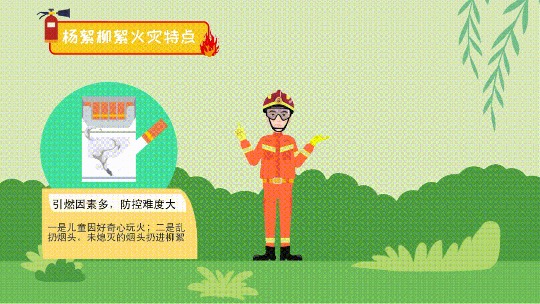 杨柳絮易燃 防火莫大意