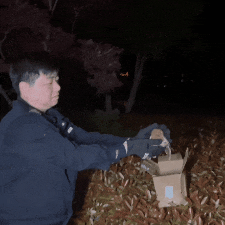 个子不大,脾气不小!民警救助国家二级保护动物红角鸮 个子不大,脾气不小!民警救助国家二级保护动物红角鸮