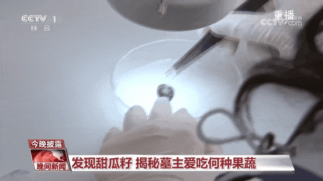 楚国最高等级墓葬考古新发现！200平方米古代竹席、上千件精美文物，墓主人是谁→