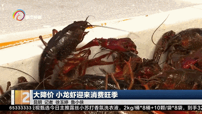 降!降!降!价格几乎腰斩,很多昆明人爱吃…… 降!降!降!价格几乎腰斩,很多昆明人爱吃……