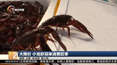 降!降!降!价格几乎腰斩,很多昆明人爱吃…… 降!降!降!价格几乎腰斩,很多昆明人爱吃……