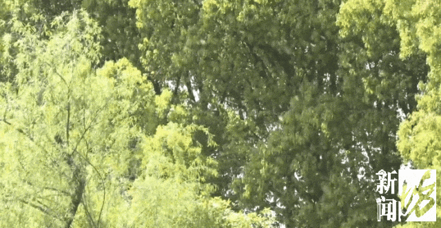 医生提醒：它不是“救命药”！请谨慎服用