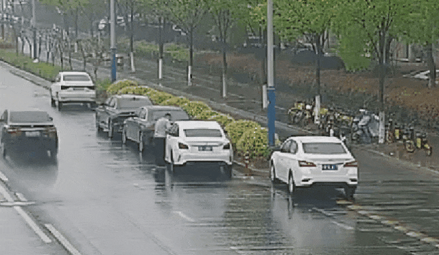 群众举报杭州一小区内……警方出手，记12分！