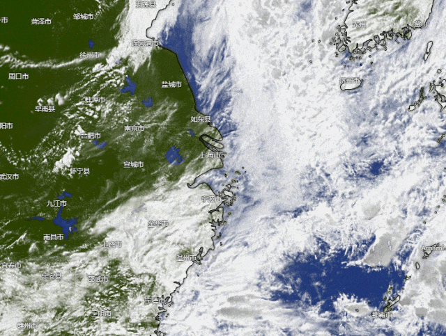 火了！上海外滩昨晚市民扎堆，只因"拗"出了这个造型！