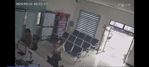 惊了！边牧迷路后竟自己到派出所“报警”