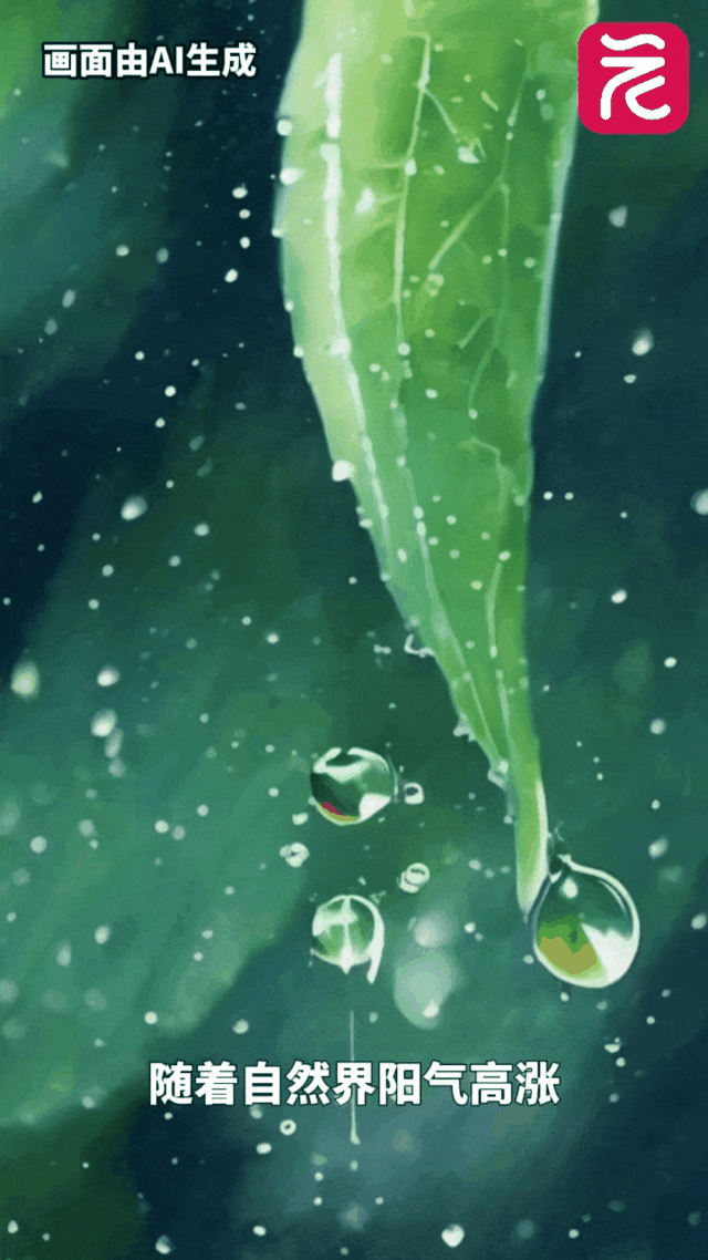 就在今天，正式迎来！这一口鲜，正当时