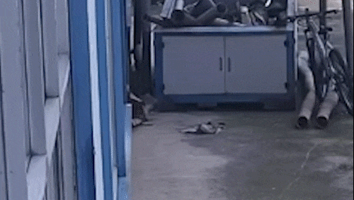 “当时还特意叮嘱了...”爷爷送货,孙子偷火,纸品厂遭灾 “当时还特意叮嘱了...”爷爷送货,孙子偷火,纸品厂遭灾