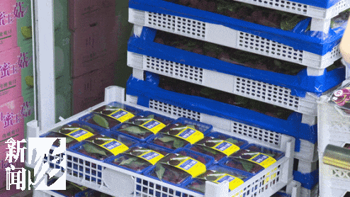 价格断崖下跌!许多人很爱,网友惊呼:难以置信 价格断崖下跌!许多人很爱,网友惊呼:难以置信