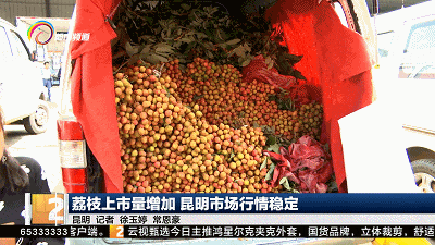 “荔枝减产”、“冻眠荔枝”登上热搜！昆明市场价格……