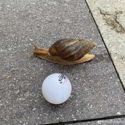 注意！上海天气即将大转折：明天雷雨来袭，还要降温