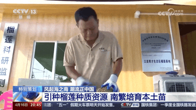 价格狂降！最低10元/个！昆明实现“榴莲自由”了？