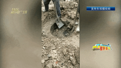 厦门一市民家中被粪水淹了,家具墙面被泡坏,原因竟是→ 厦门一市民家中被粪水淹了,家具墙面被泡坏,原因竟是→