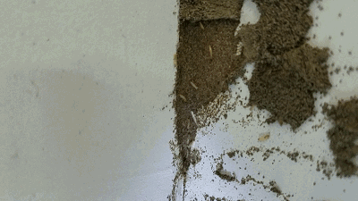 破坏性极强！请关好门窗