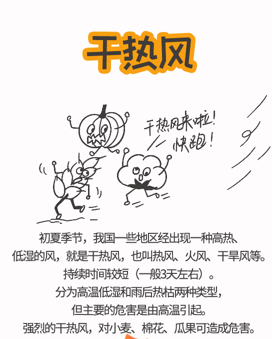 农业农村部和中国气象局联合发布冬小麦干热风灾害风险预警 农业农村部和中国气象局联合发布冬小麦干热风灾害风险预警