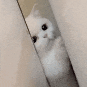 已完成60%，夏天的“冰雪大世界”即将亮相！