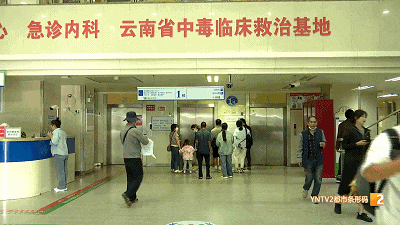 警惕!头水菌上市没多久,已有多人中毒! 警惕!头水菌上市没多久,已有多人中毒!