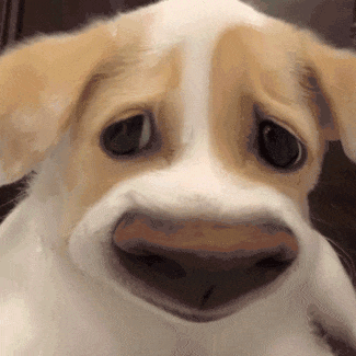 糟心 | 18人违法！天津球迷“躺枪”！最新罚单来了→