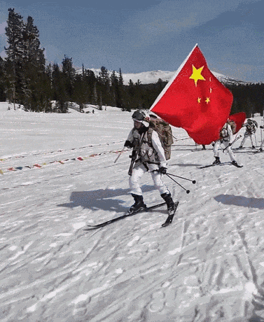 24岁提干!特战女排长再立新功! 24岁提干!特战女排长再立新功!