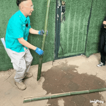 要备案,有专区!在北京动物园直播“顶流”熊猫有规矩,违规三次就禁播 要备案,有专区!在北京动物园直播“顶流”熊猫有规矩,违规三次就禁播