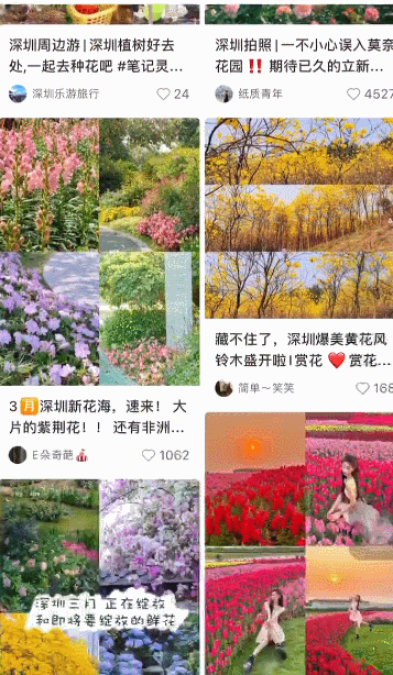 警惕！全株有毒！广东路边很常见！