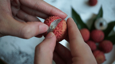 实现“荔枝自由”?我提名四川这里 实现“荔枝自由”?我提名四川这里