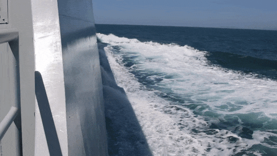 超强气势！“万吨大驱”无锡舰最新训练画面→