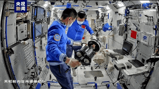 太空养鱼进展咋样?神十八乘组在轨满月 太空养鱼进展咋样?神十八乘组在轨满月