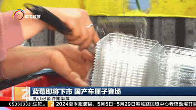抓紧时间享受“蓝莓自由”，价格便宜一半还多！另一种惹人爱的水果闪亮登场……