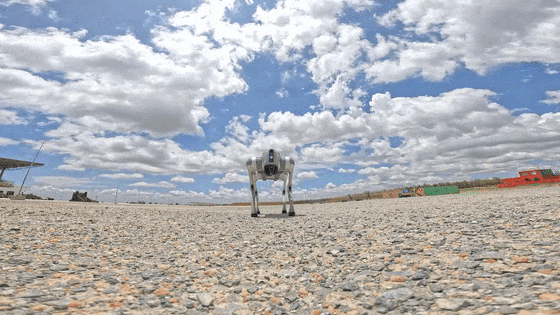 又火了！国产机器狗，背上了枪冲锋