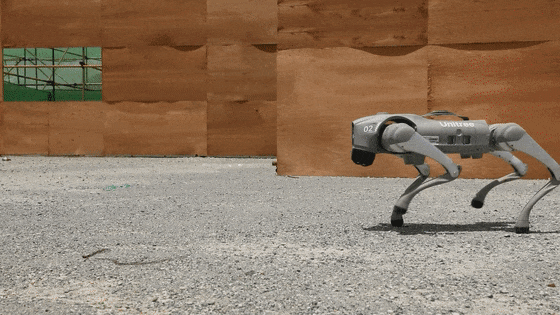 又火了！国产机器狗，背上了枪冲锋