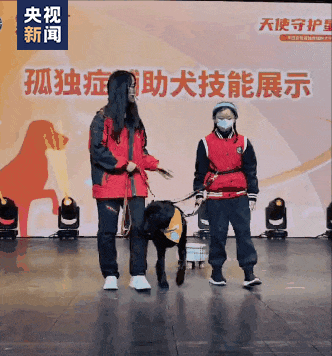 哈利、伊莉、哈雷，解锁新任务！