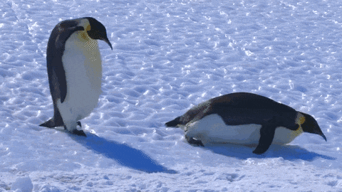 在酒店淋浴时摔伤，酒店有责任吗？