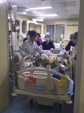 小芷怡,谢谢你来过! 小芷怡,谢谢你来过!