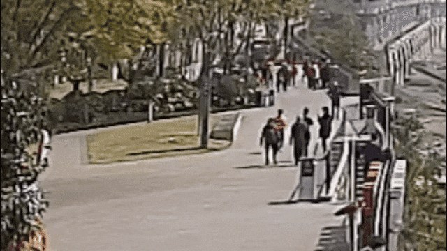 为拍一张打卡照，游客意外撞倒老人致伤残，法院判了！