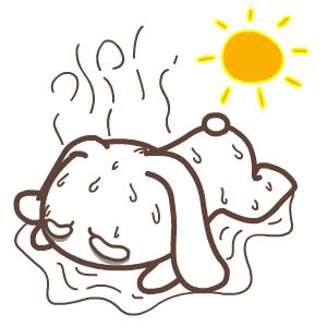 37℃、37℃、38℃!西安下次降水在→ 37℃、37℃、38℃!西安下次降水在→