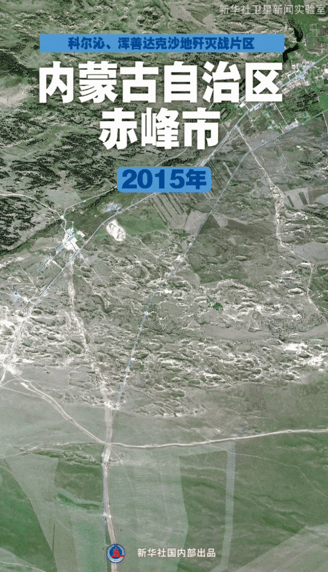 只因多看了她一眼，美国小伙连续10年到内蒙古植树