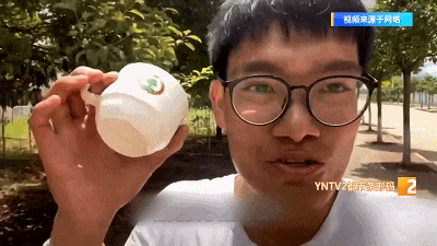 全国首个！就在云南！咖啡本科专业有了!