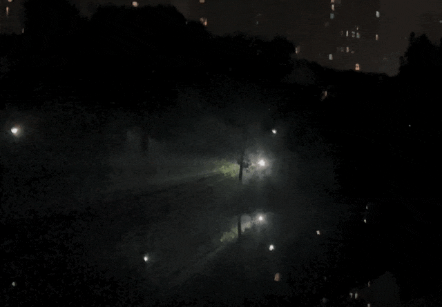 正大量出现，不少人夜晚“出动”......紧急提醒