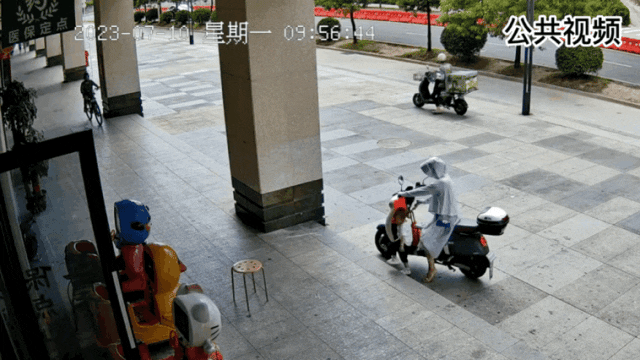 儿童“探头杀”易引发事故，家长要警惕→