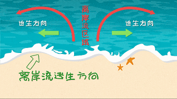惠州双月湾有鲨鱼出没咬人？当地辟谣