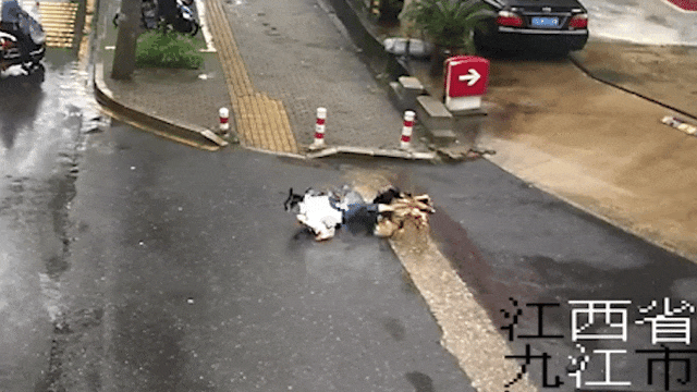 突发！辅警下班途中上演“硬核抓捕”