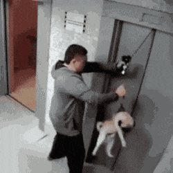 轿车用铁链拴狗一路拖行，当事人回应