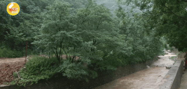 雷暴、短时暴雨将至！刚刚，陕西发布最新预报丨西安全市中雨→