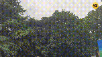 大到暴雨！陕西发布重要天气预报 | 明起正式进入，长达40天→