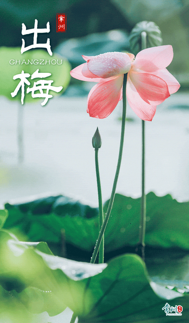 今日，江苏多地官宣出梅！