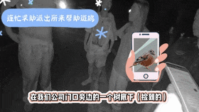 猜猜派出所里迎来了哪两位“小客人”? 猜猜派出所里迎来了哪两位“小客人”?