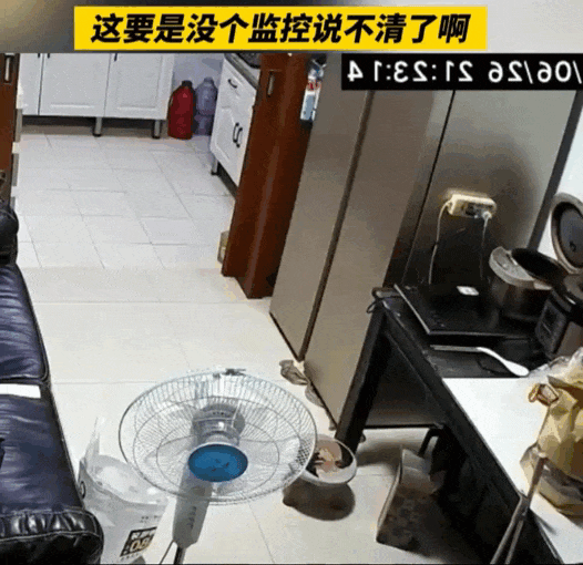 当心！这个东西放冰箱，堪比炸弹！