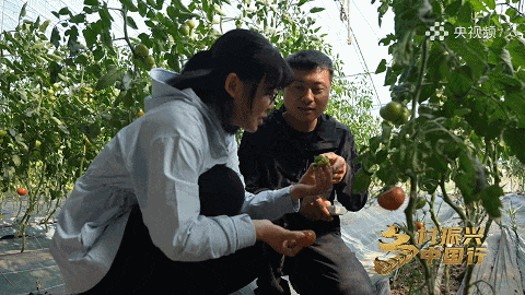 【大医生小厨房】“有内味了！” 可青可甜，它还能治便秘...