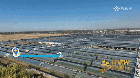 【大医生小厨房】“有内味了！” 可青可甜，它还能治便秘...