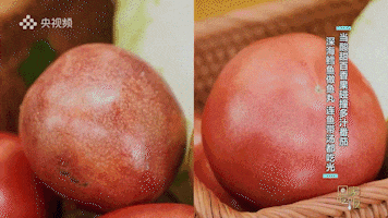 我承认又酸了! 酸得我一激灵...